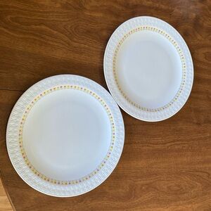 Set of 2 vintage April tulip Centura by Corning dinner plates